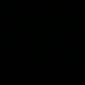 Meet your Posher, Macy